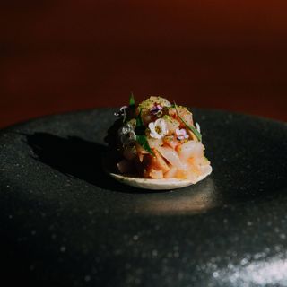 Koya - 5