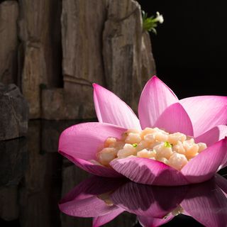 Plum Garden - 2