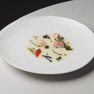 René - 6