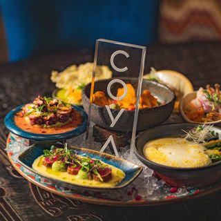 Coya - 11