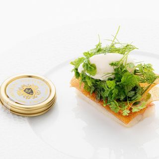 Lys d'Or - 9