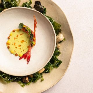 Aromata - 9