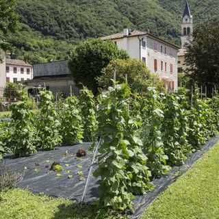 Locanda Solagna - 5