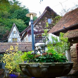 Alte Mühle Thomas Höreth - 3