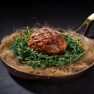 Coquille - 10