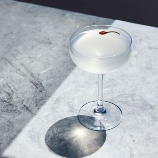 Paloma - 2