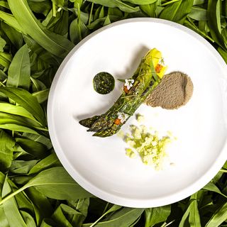 Nicolas Carro - Hôtel de Carantec - 10