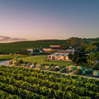 Coriole Vineyards - 4