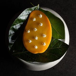 Pangea - 8