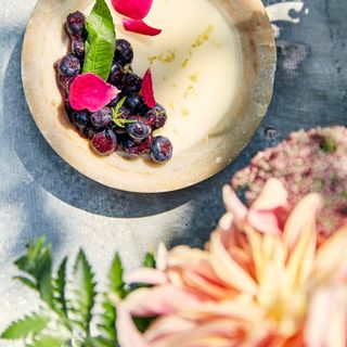 Petersham Nurseries Restaurant - 3