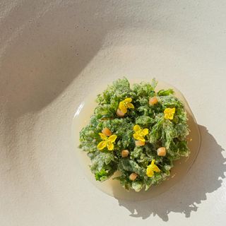 Bicena - 8
