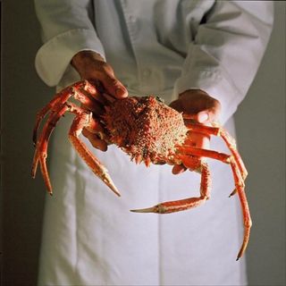 Le Kaïku - 3