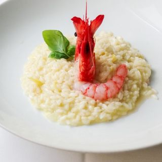 Ippogrifo - 6