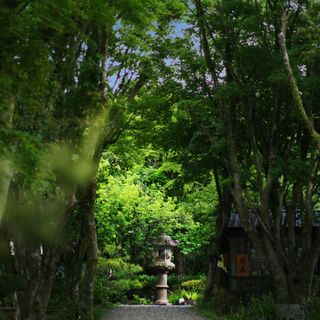Yangming Spring (Shilin) - 1