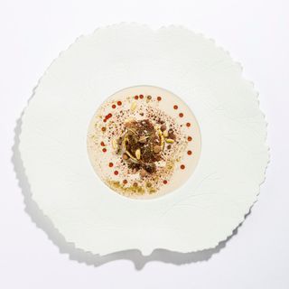 Imàgo - 20