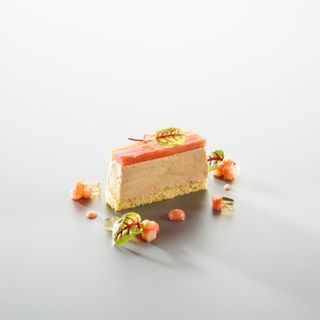 Bären - 5