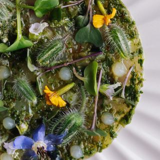 POLLEN - 17