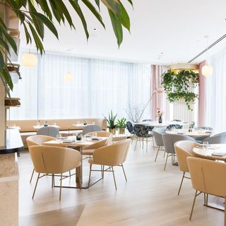 Botanist - 5
