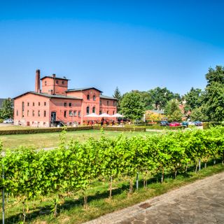 Pałac Mierzęcin – Restauracja Destylarnia - 4
