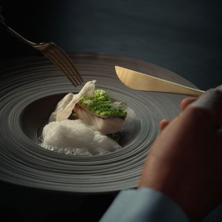 Midori - 1