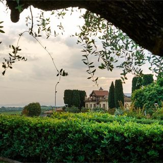Stella d'Italia - 7