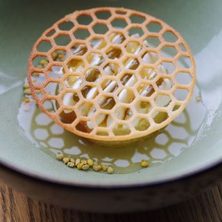 POLLEN - 7