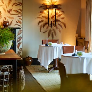 Fernery - 18
