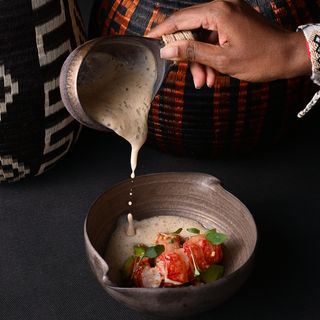 Latido - 6