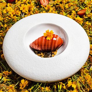 Nicolas Carro - Hôtel de Carantec - 13