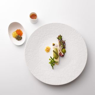 L'Oiseau Blanc - 4