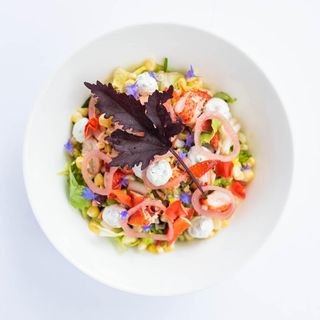 Barolo Grill - 17