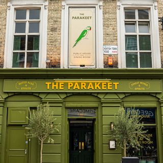The Parakeet - 7