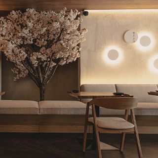 Hana Sushi - 6