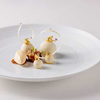 Frog by Adam Handling - 6