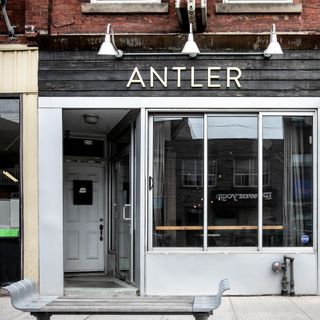 Antler - 5