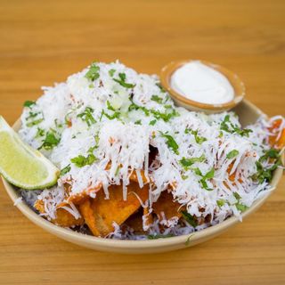 Nopalito - 2