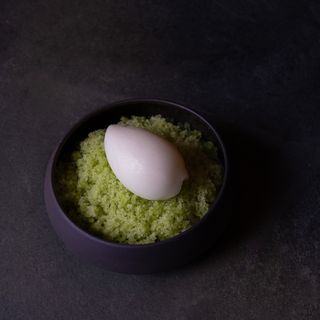 Sweet Basil - 3