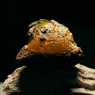 Brutø - 6