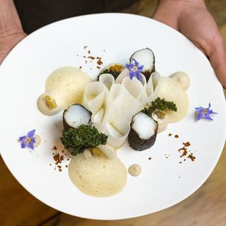 Marmitón - 16