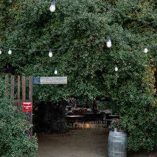 Primitivo - 2