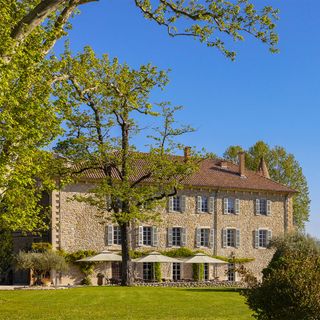 Lavandin - Château Les Oliviers de Salettes - 11