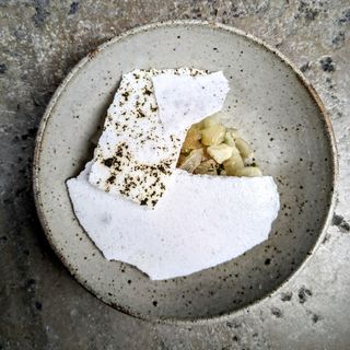 Épicéa - 10