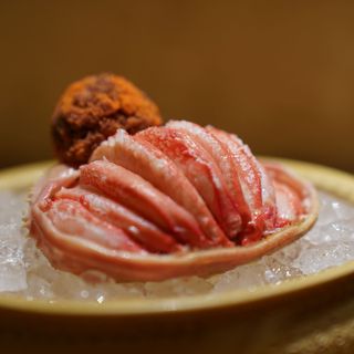 Kiku - 3