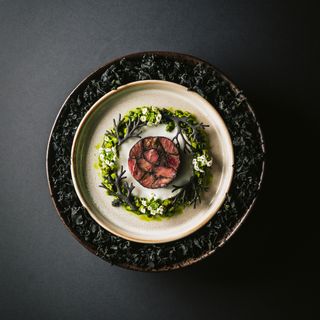 Tuna - 12