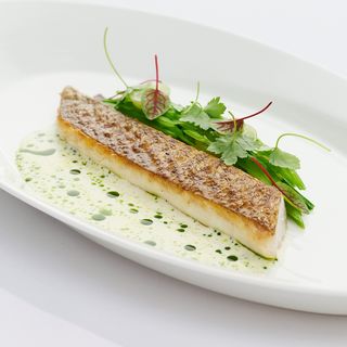 meatGQ - 0