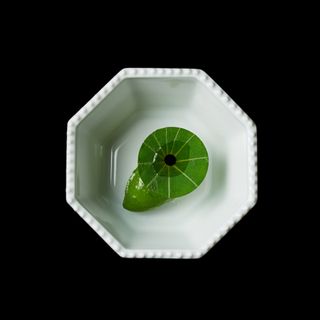 HOMMAGE - 9