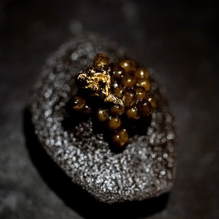 Table Culture Provisions - 12