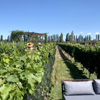 5 Suelos - Cocina de Finca - 13