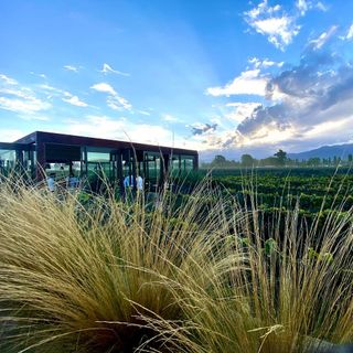 5 Suelos - Cocina de Finca - 4