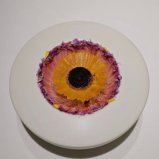 Sense - 12